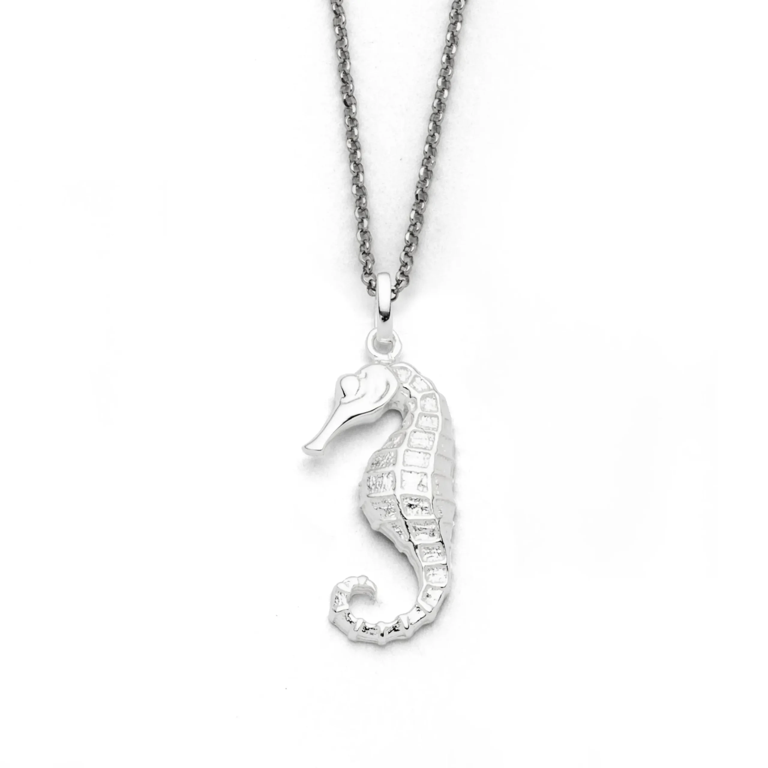 Anhänger "Seepferd"