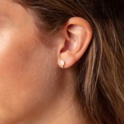 Ohrring "Polarstern"