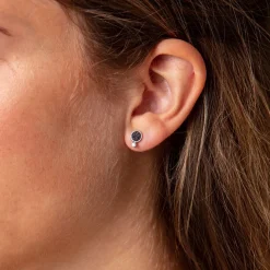 Ohrring "Polarstern"