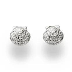 Ohrstecker ''Muschel''